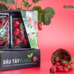 Dâu Tây Rasa Mộc Châu 250gr