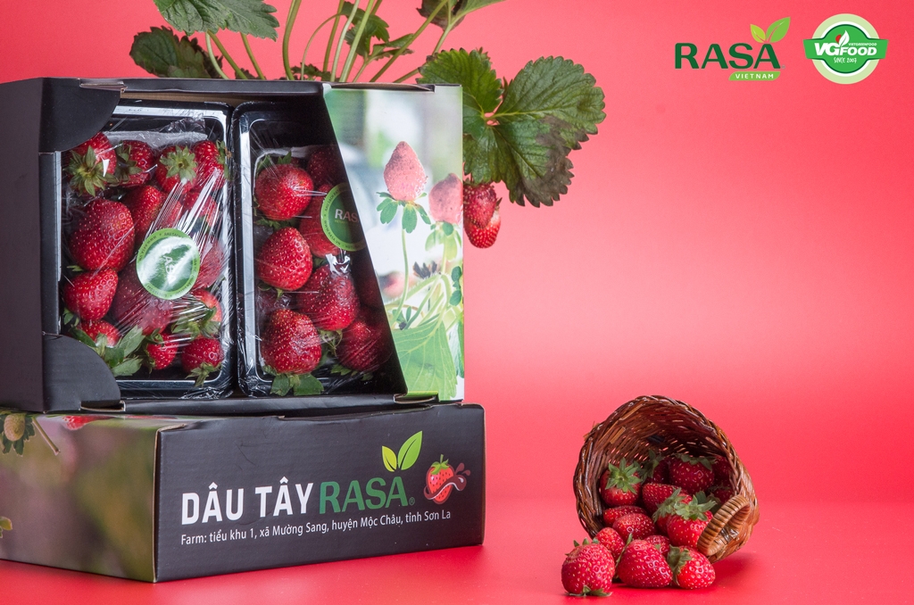 Dâu Tây Rasa Mộc Châu 250gr