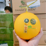 Dưa Lê Hồng Kim Hữu Cơ - Orange Golden Pyriform Melon Organic | Danny Green