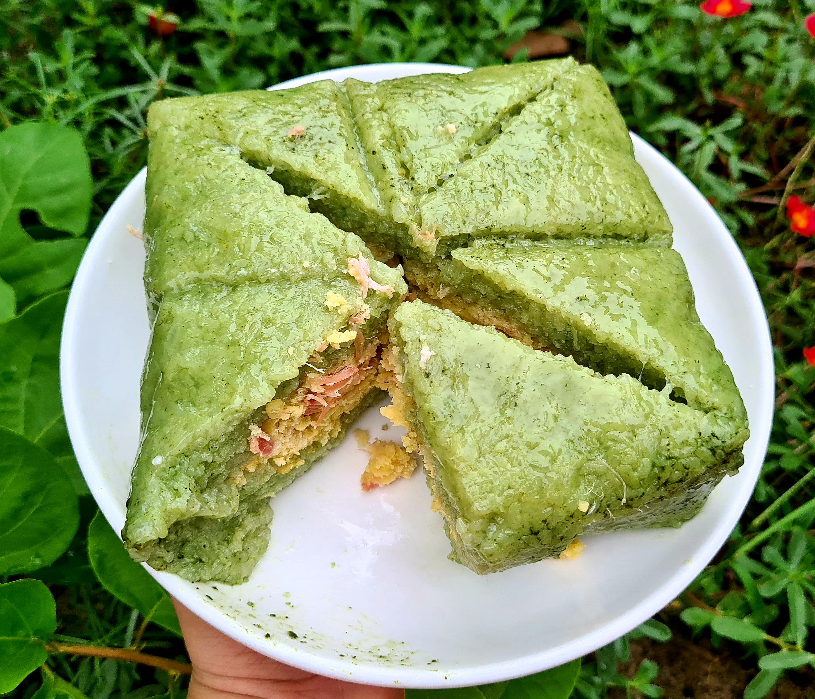 Bánh Chưng Xanh Bio