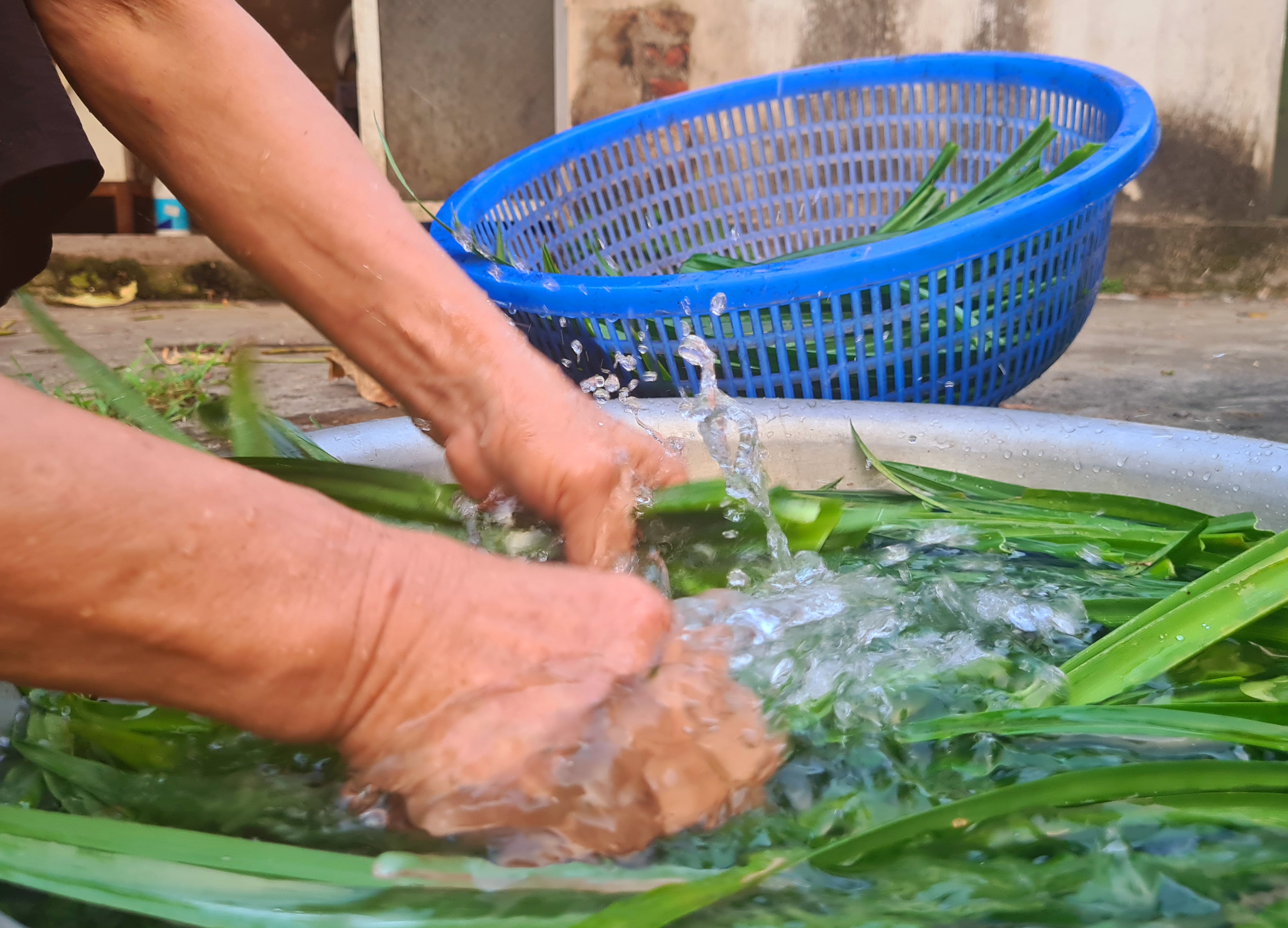 Bánh Chưng ngày tết